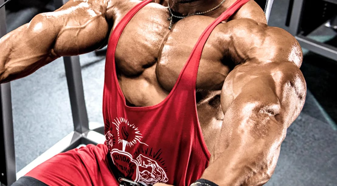 Pre Workout Booster: Dein perfekter Trainingsbegleiter – Fatburnerking
