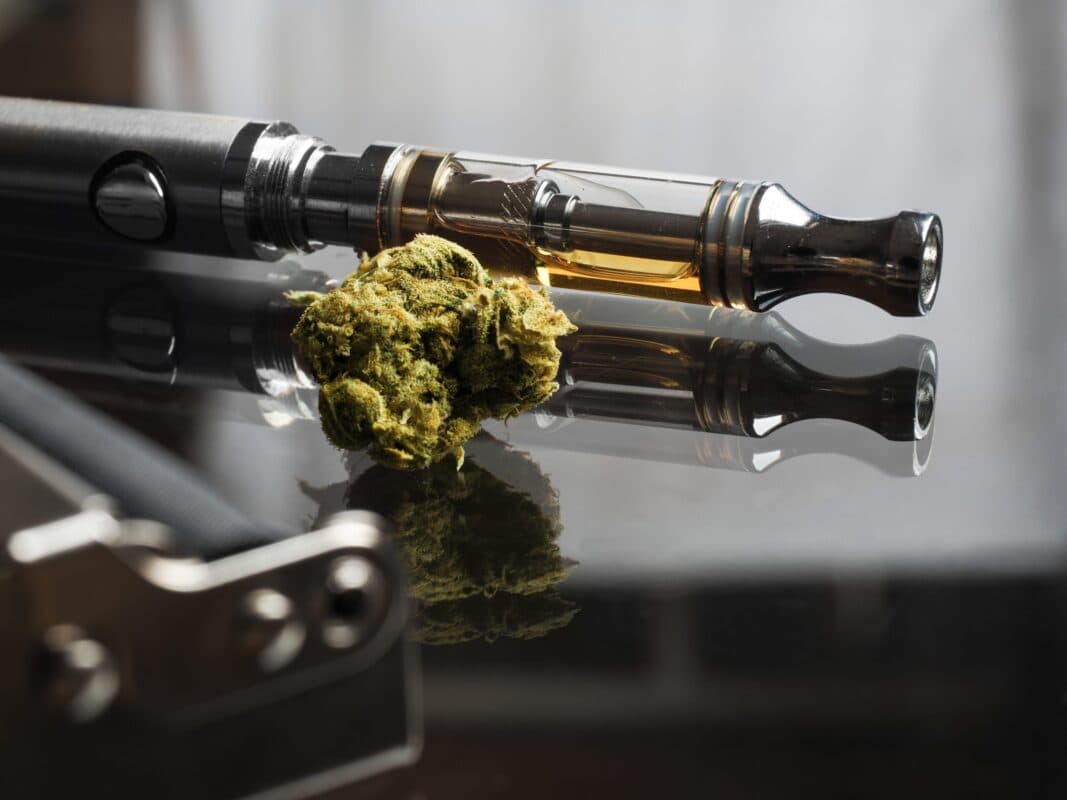 Was du über Sinsemilla und die Produkte von Cannapot wissen musst