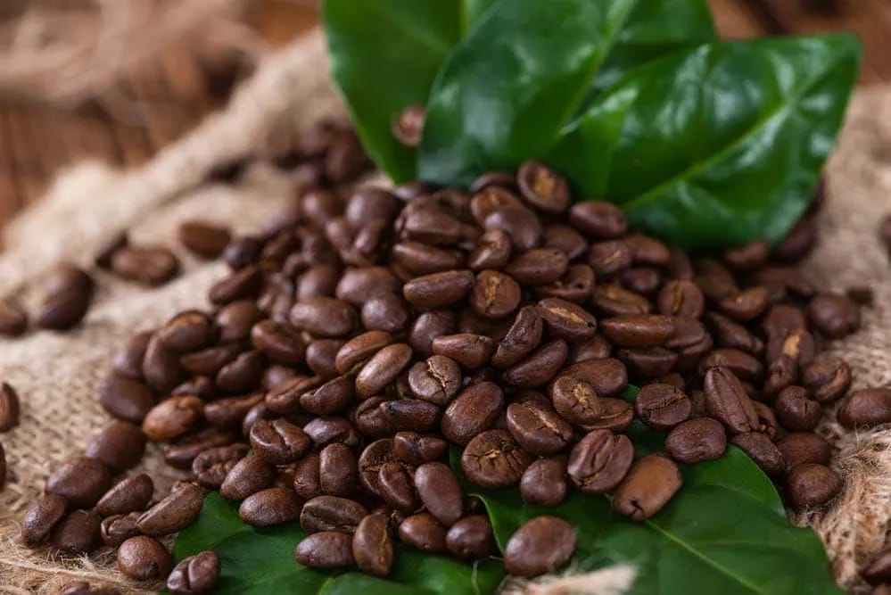 Magischer Moment: Espressobohnen für die perfekte Tasse Kaffee