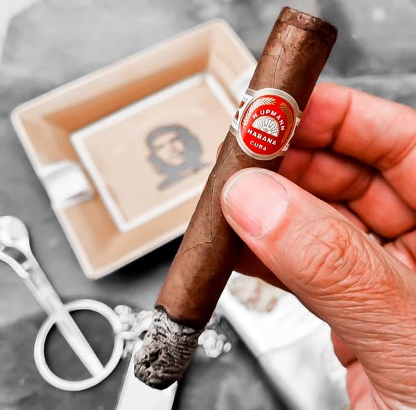 Erstklassige Zigarrenmarken bei C-Cigars entdecken
