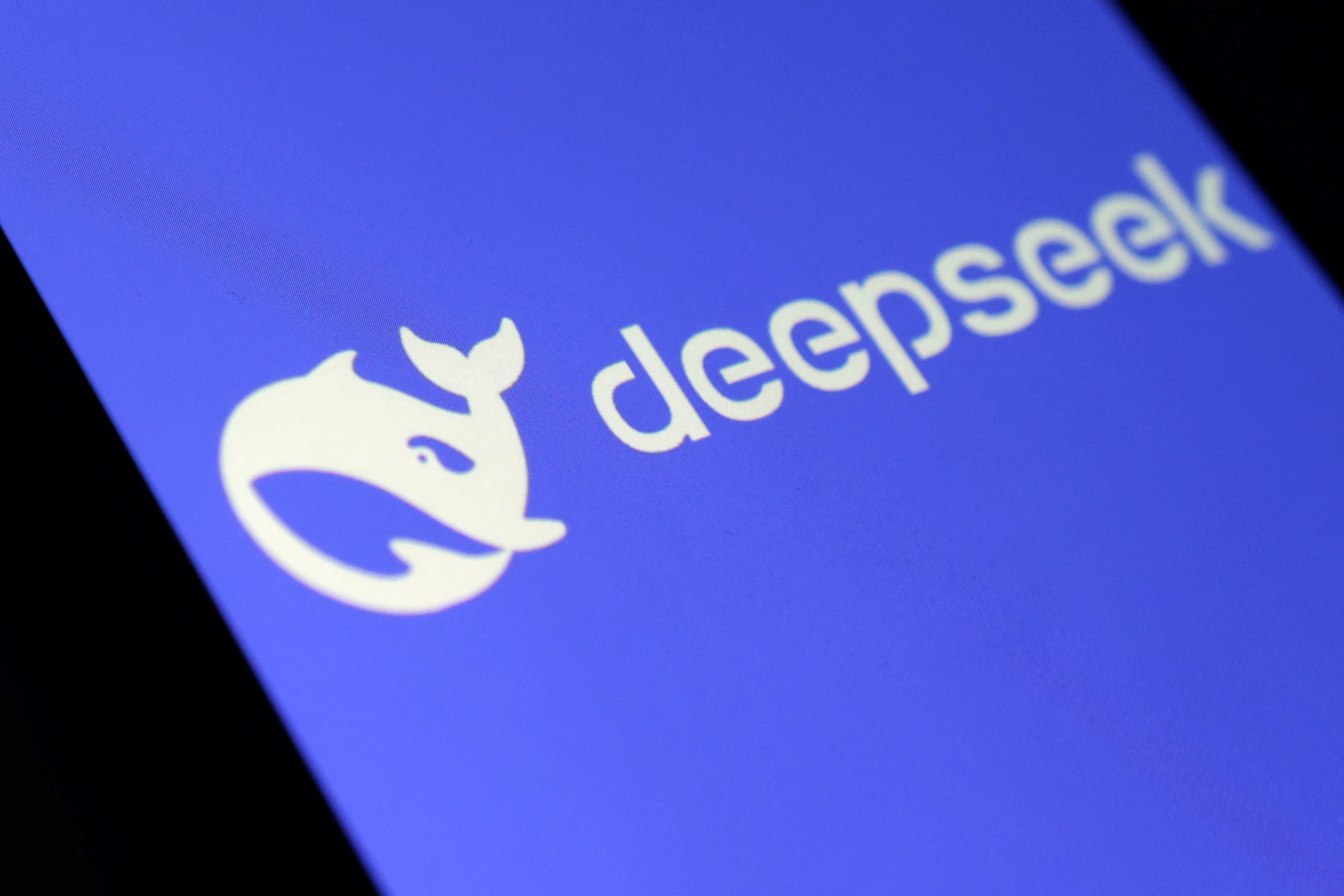 From Code to Conversation: How DeepSeek Empowers Global Users
