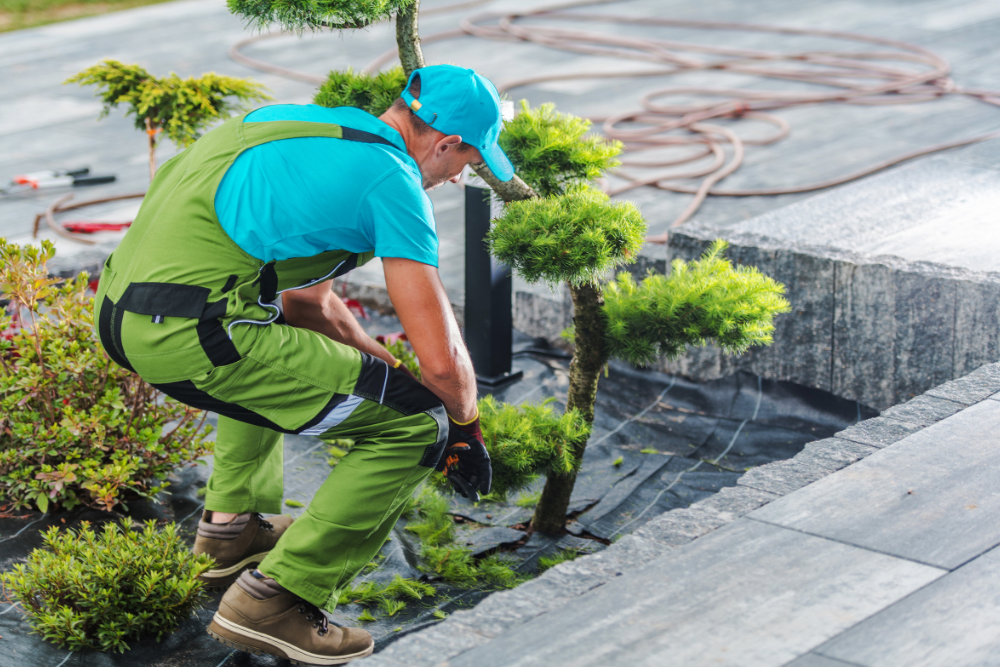 Planung, Bau & Pflege – Rundum-Service im garten Landschaftsbau braunschweig