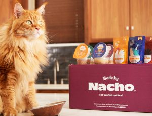 made by nacho cat food review
