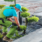 Planung, Bau & Pflege – Rundum-Service im garten Landschaftsbau braunschweig