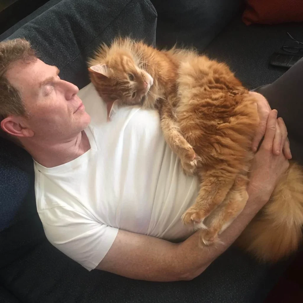 made by nacho cat food review